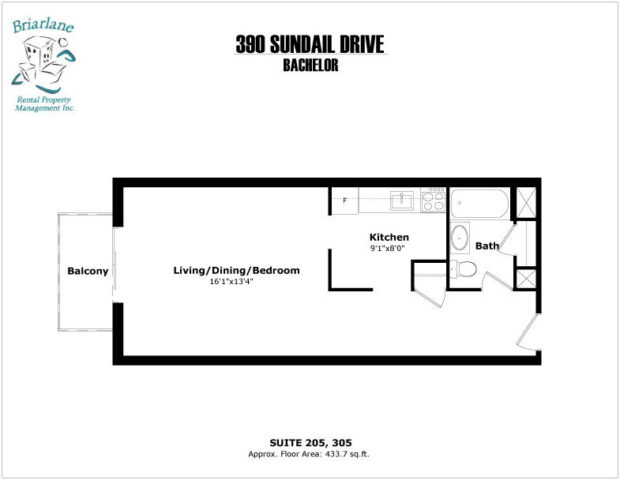 Bachelor Apartment