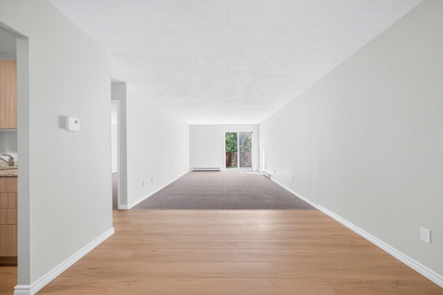 Typical 1 Bedroom Apartment