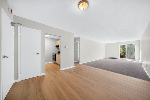 Typical 1 Bedroom Apartment